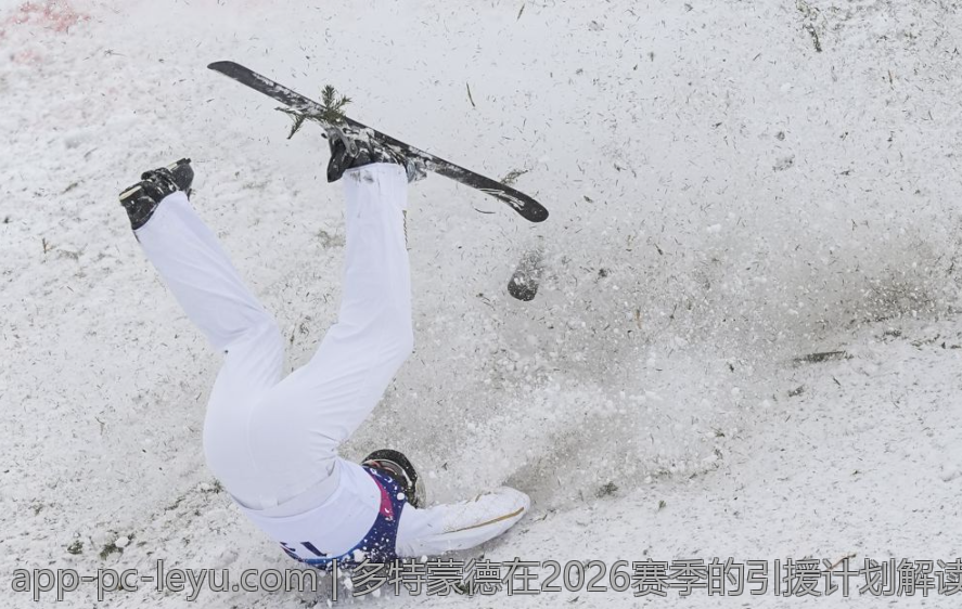 多特蒙德在2026赛季的引援计划解读