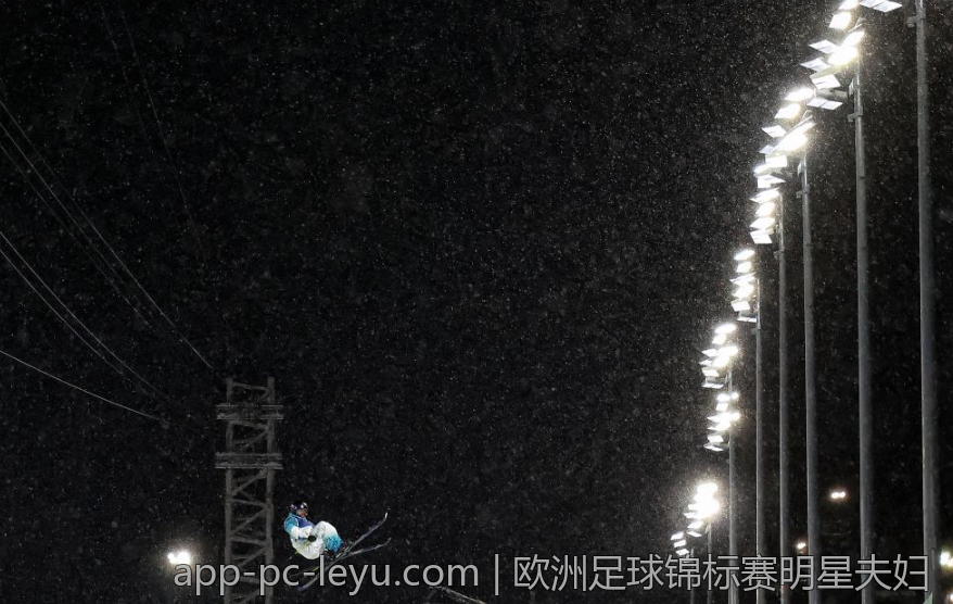 欧洲足球锦标赛明星夫妇