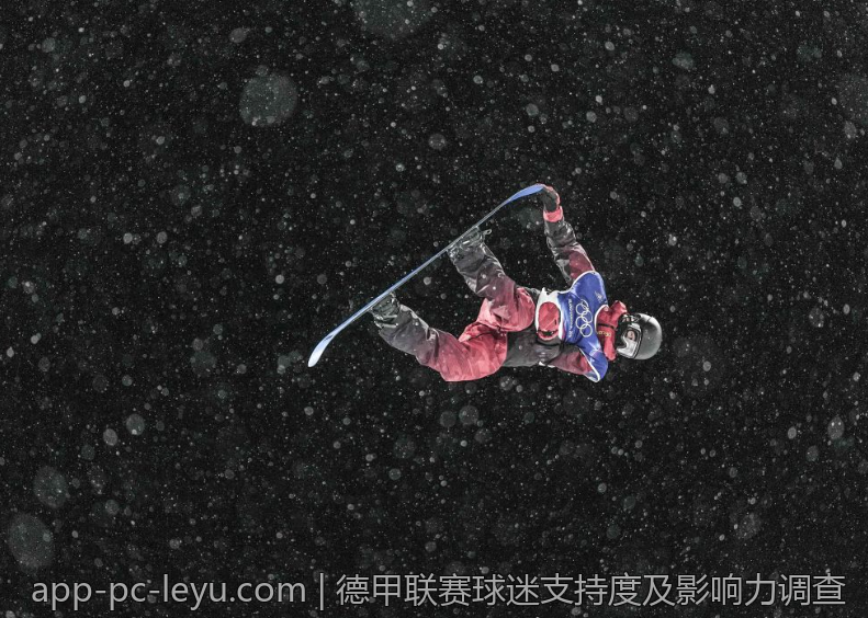 德甲联赛球迷支持度及影响力调查